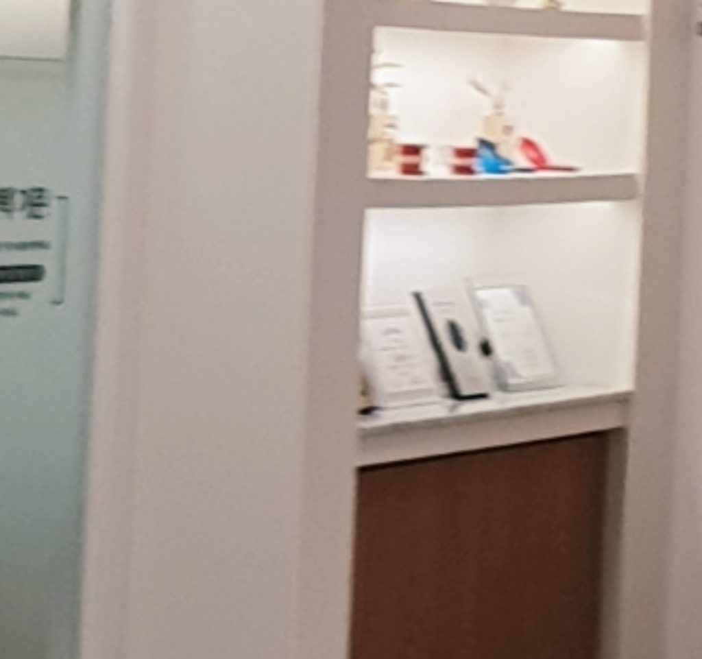 세종교정치과 이미지 (5)