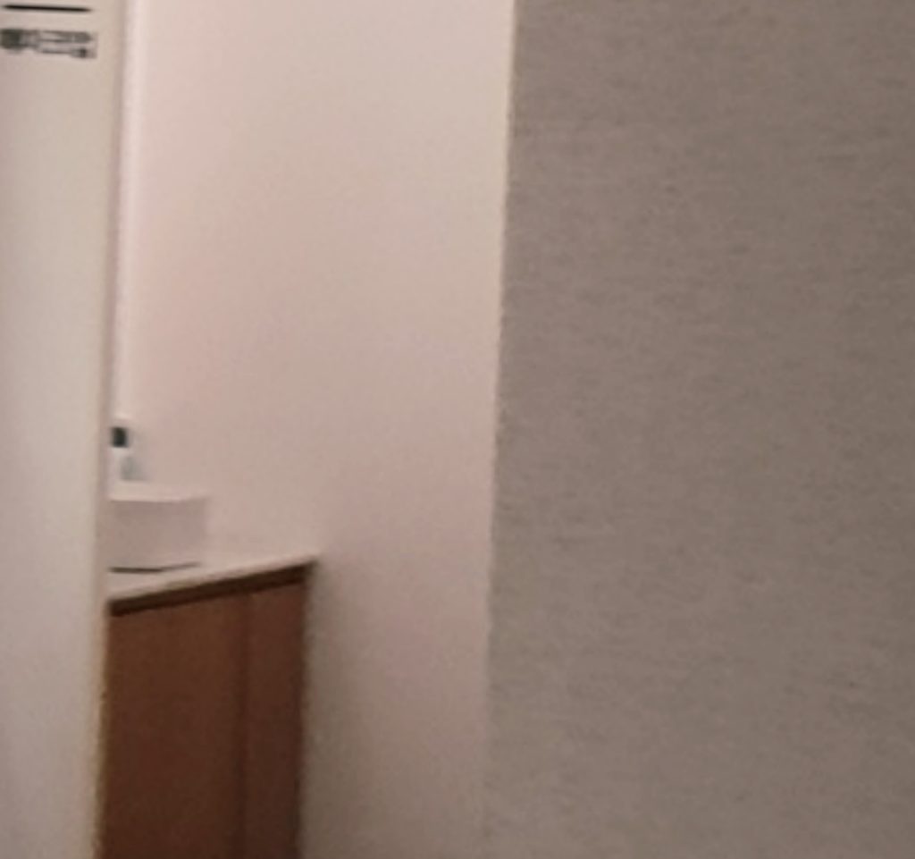 세종교정치과 이미지 (6)