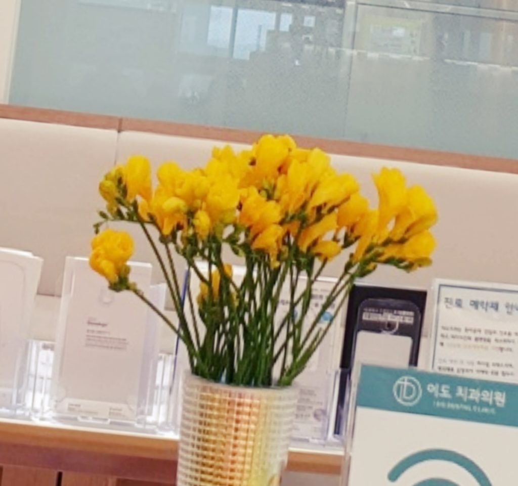 세종시교정치과 이미지 (2)
