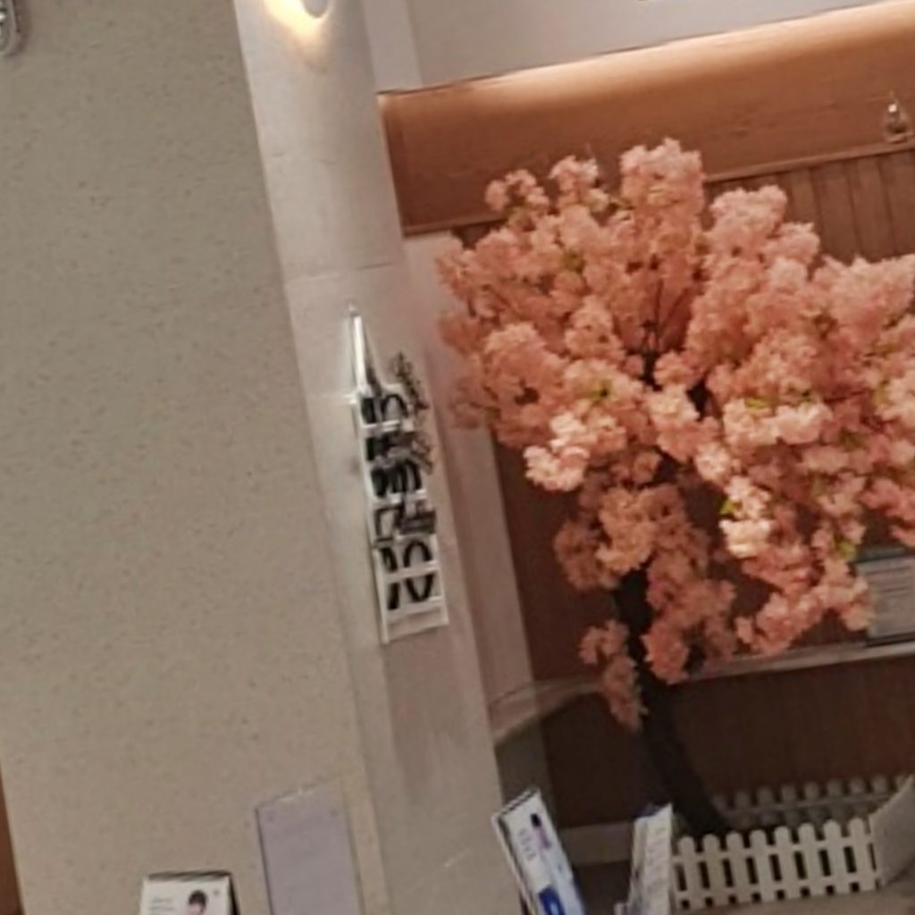 세종임플란트치과 이미지 (5)
